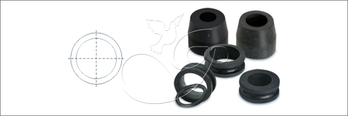 Seals & O Rings